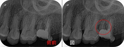 2024 EEdental YY (1).jpg