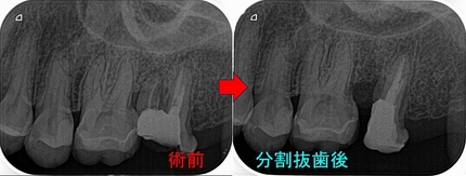 2024 EEdental YY (2).jpg