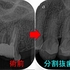 2024 EEdental YY (2).jpg