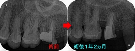 2024 EEdental YY (3).jpg