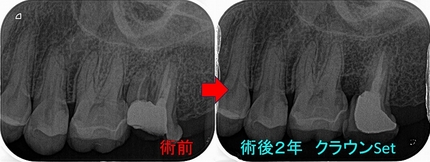 2024 EEdental YY (4).jpg