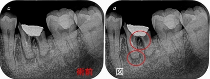 2025 EEdental FUJ (1).jpg