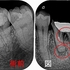 2025 EEdental FUJ (1).jpg