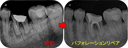 2025 EEdental FUJ (2).jpg