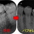 2025 EEdental FUJ (2).jpg