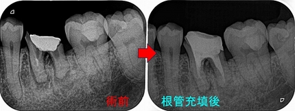 2025 EEdental FUJ (3).jpg