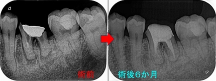 2025 EEdental FUJ (4).jpg