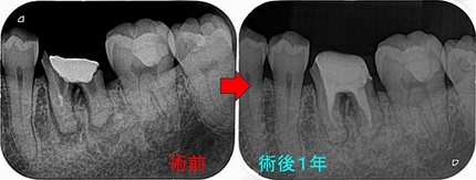 2025 EEdental FUJ (5).jpg