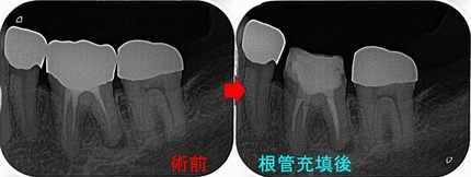 2025 EEdental ASA (2).jpg