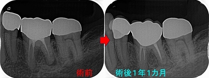 2025 EEdental ASA (3).jpg