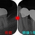 2025 EEdental ASA (3).jpg