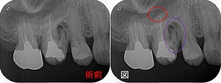 2025 EEdental FUM (1).jpg