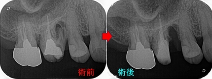 2025 EEdental FUM (2).jpg