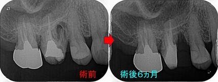 2025 EEdental FUM (3).jpg