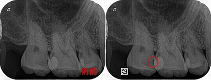 2025 EEdental MIA (1).jpg