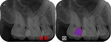 2025 EEdental MIA (2).jpg