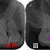 2025 EEdental MIA (2).jpg