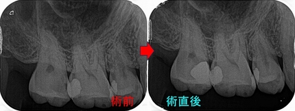 2025 EEdental MIA (3).jpg