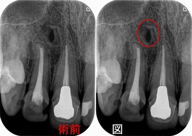 2025 EEdental NAY (1).jpg