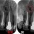 2025 EEdental NAY (1).jpg