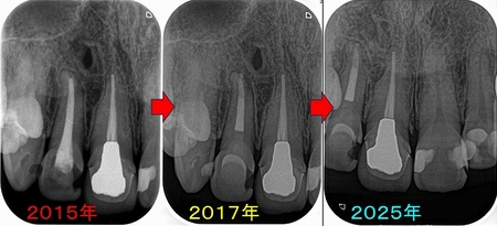 2025 EEdental NAY (2).jpg