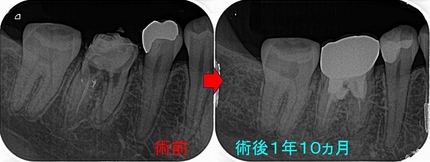 2025 EEdental SAT (5).jpg