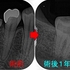 2025 EEdental SAT (5).jpg