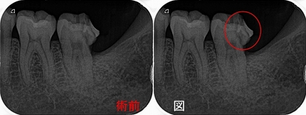 2025 EEdental TAY (1).jpg