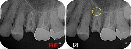 2025 EEdental ISI (1).jpg