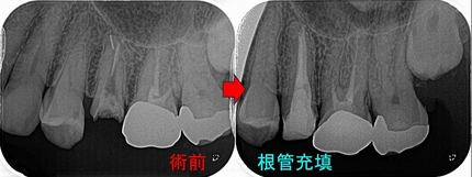 2025 EEdental ISI (2).jpg