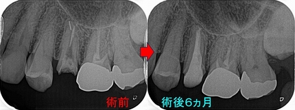 2025 EEdental ISI (3).jpg