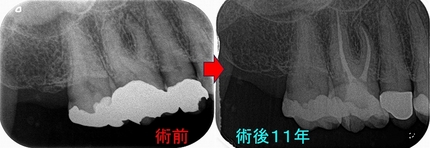 2025 EEdental KAT (3).jpg