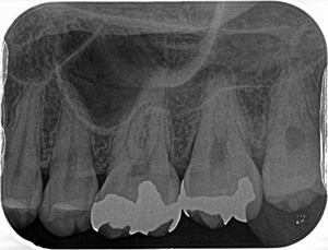 2025 EEdental KON (0).jpg