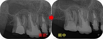 2025 EEdental KUN (2).jpg