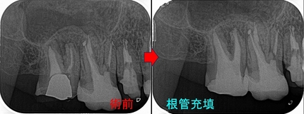 2025 EEdental KUN (3).jpg