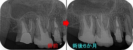 2025 EEdental KUN (4).jpg