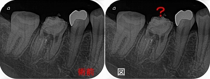 2025 EEdental SAT (1).jpg