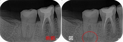 2025 EEdental SUK (1).jpg