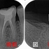 2025 EEdental SUK (1).jpg