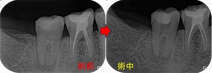 2025 EEdental SUK (2).jpg