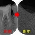 2025 EEdental SUK (2).jpg