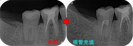 2025 EEdental SUK (3).jpg