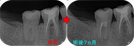 2025 EEdental SUK (4).jpg