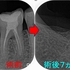 2025 EEdental SUK (4).jpg