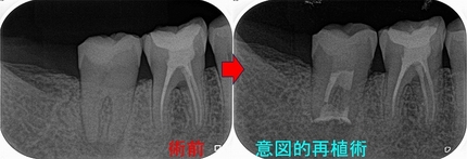 2025 EEdental SUK (5).jpg