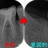 2025 EEdental SUK (5).jpg