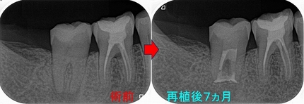 2025 EEdental SUK (6).jpg