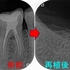 2025 EEdental SUK (6).jpg