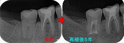 2025 EEdental SUK (7).jpg