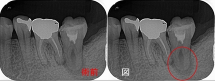 2025 EEdental SUM (1).jpg